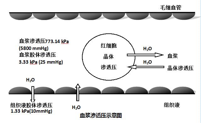 血漿滲透壓