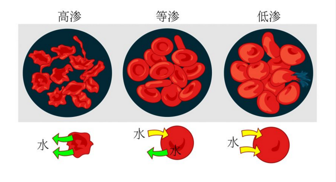 淺析生活中的滲透現(xiàn)象及滲透壓這一概念